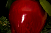 Apple Ornament