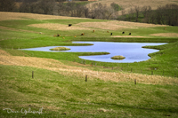 Fram Pond 2