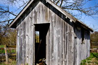 Abandoned Shed