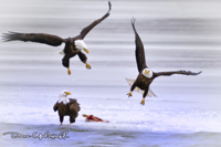 Sabula Eagles Landing