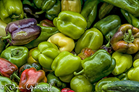 Farmer's Market